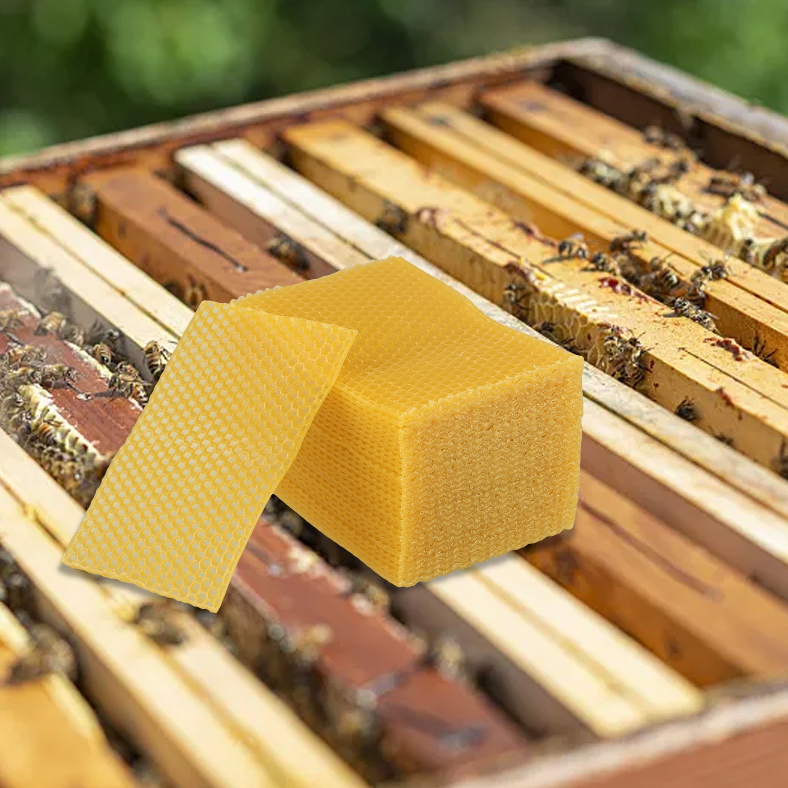 5.24 X 3.54 Arı Kovanı Temel B - Beeswax Sheet Roll incelemesi ve fiyatı